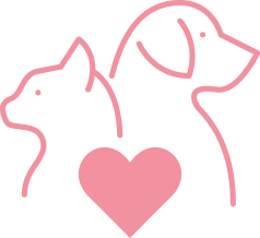 小さなことで構いません。どうか、あたたかなご支援を。